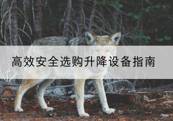 顺庆升降货梯厂家推荐-*安全选购升降设备指南