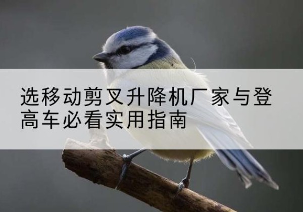 顺庆电动升降机厂家-选移动剪叉升降机厂家与登高车必看实用指南