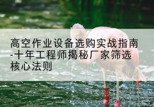 顺庆剪叉式升降机厂家-高空作业设备选购实战指南-十年工程师揭秘厂家筛选核心法则