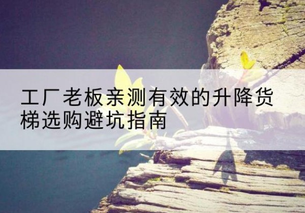 顺庆升降货梯怎么选-工厂老板亲测有效的升降货梯选购避坑指南